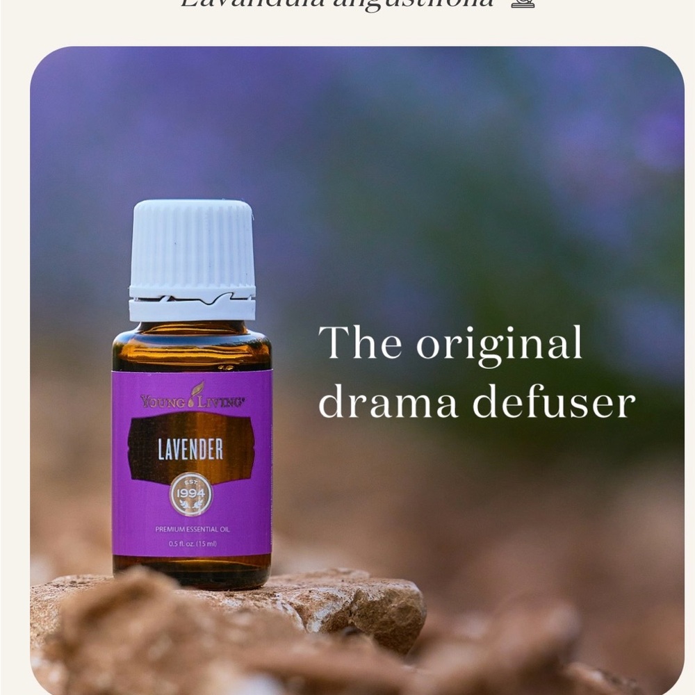 Young Living Lavender Essential Oil 5ml - Picture 2 of 7